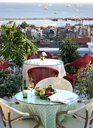 Niles_Roof_Terrace_d02